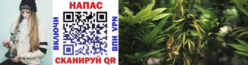 Где продают наркотики Назрань КОКАИН  МЕГА вход  Гашиш  A PVP  Канабис  Меф мяу мяу 