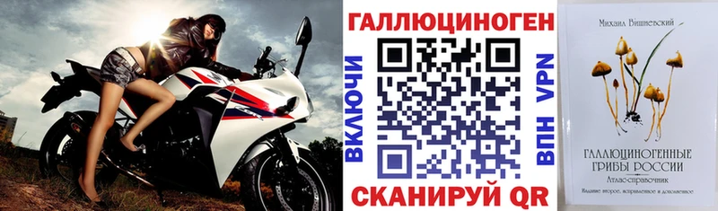 Псилоцибиновые грибы Cubensis  Назрань 